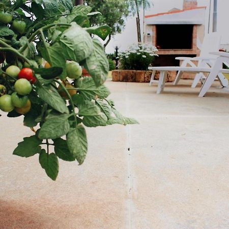 Villa Con Lamione Antico Torre San Giovanni Ugento Eksteriør bilde